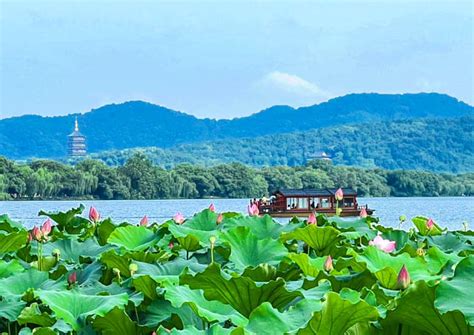 西湖是哪個省的城市：探討杭州西湖的地緣文化與風景美譽